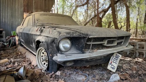 40 Years Asleep: RESTORED Revives an Abandoned 1967 Ford Mustang in a Wordless, 75-Minute Rescue