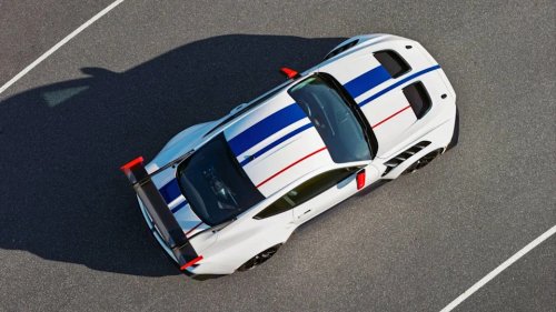Europe Gets Another Shot at America’s Wildest Mustang