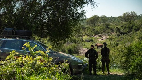Porsche Donates Modified Cayenne SUV to South Africa's All-Women Anti Poaching Unit Called Black Mambas So They Don't Have to Patrol on Foot For Rhino Conservation