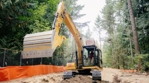 Backhoe Vs. Excavator: What's The Difference And Which Is Right For Your Needs?