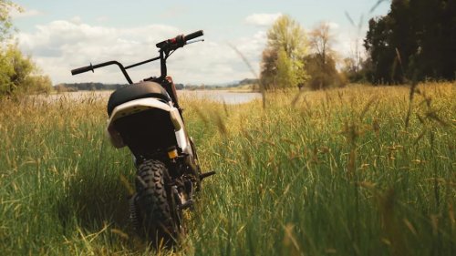 Is Harley's New Low-Cost Beginner Bike What It's Been Missing? Probably