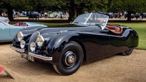 Jaguar, 15 Of The Coolest Jaguar Designs Of All Time