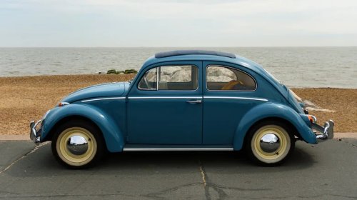 Beetle Vs. Bus: Which Volkswagen Is More Iconic?