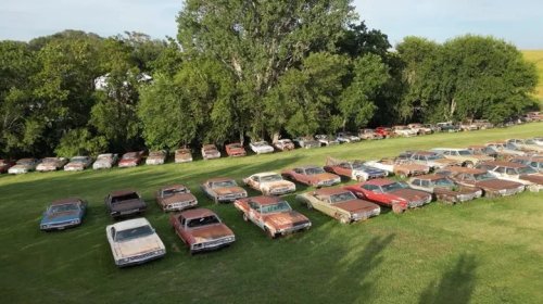 A Developer Bought The Land Around Them, Now 350 Antique Chevys Are Up For Sale