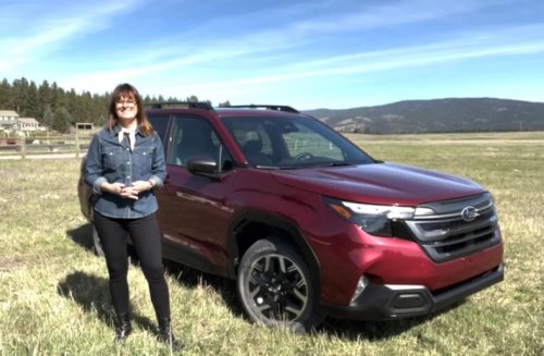 Soft-Roader, Off-Roader, Overlander, Trail Rider: How They Differ and How To Know Which Is For You