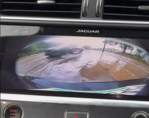 Robotaxi, Waymo Robotaxi Leaves Journalist Stranded Over Flooded Street in Atlanta Other Cars Easily Crossed