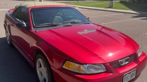 Ford, Ford Mustang, Ford Mustang GT, Ford GT, At $5,900, Would You Pony Up For Summer Fun In This 1999 Ford Mustang GT?