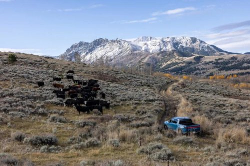 Rivian, SUV, Rivian SUV And Truck Win U.S. News Best EVs For Off-Roading