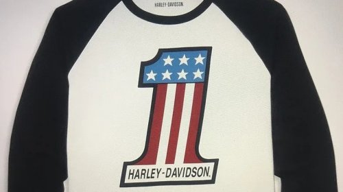 The History Of Harley-Davidson's Most Iconic Logos