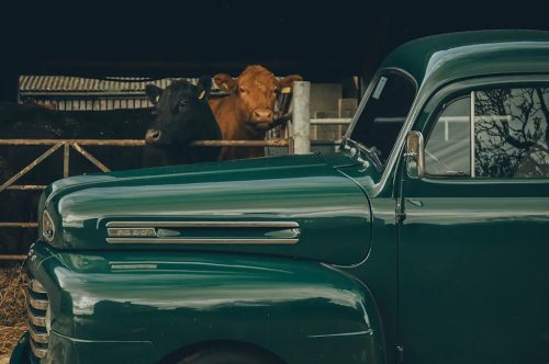 Saluting the seminal Ford F-Series