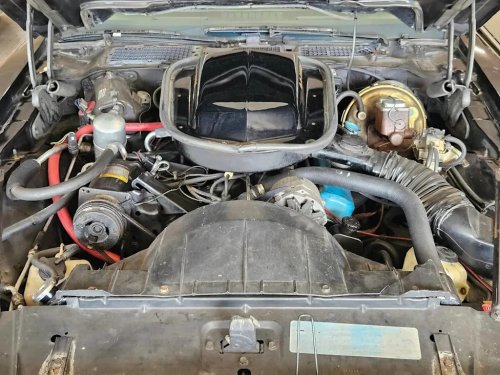 Pontiac, 1977 Pontiac Firebird Trans Am for Sale With 8,000 Miles Shown