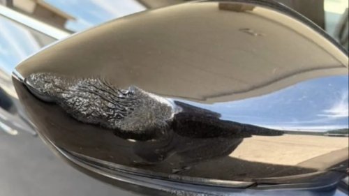 Mazda, SUV, Woman Left Baffled as Dealership Refused To Fix Her Mazda SUV That Had Melted