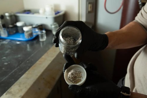 Where Do Hydrogen Fuel Cell Vehicles Go From Here?