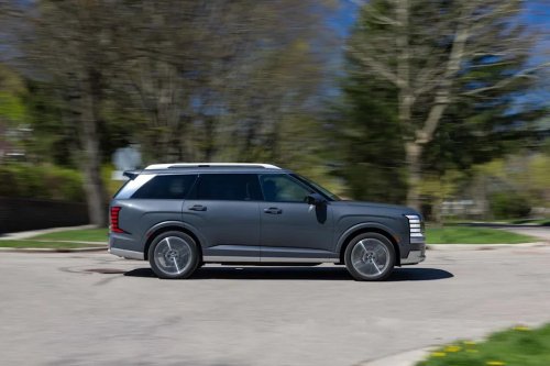 Hyundai, Hyundai Palisade, Our 2026 Hyundai Palisade Hybrid Is Bear-Proof!