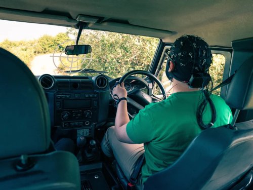 Science Says Speed Isn’t What Makes Driving Fun