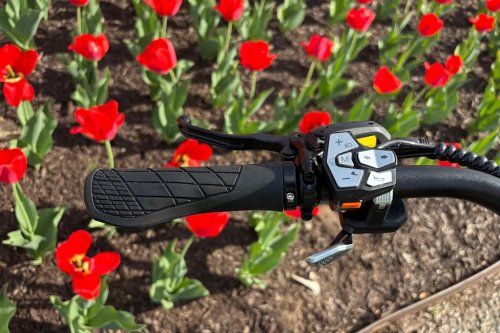 Riding this comfortable e-bike won’t drain your energy or your wallet