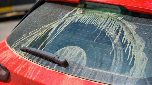 There's A Good Reason Why You Should Immediately Wash Pollen Off Your Car