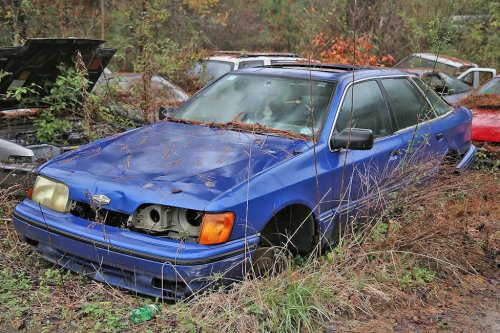 Some Interesting Junkyard Finds at Collins Auto Salvage in Auburn, Georgia