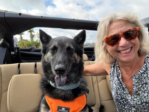 Which are the Best Cars For Dogs? These are Our Favorites—and Top Accessories—For Taking Your Fur Baby Along