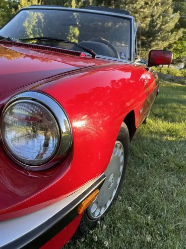 Alfa Romeo, 1990 Alfa Romeo Spider Graduate For Sale