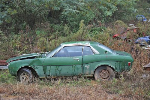 Some Interesting Junkyard Finds at Collins Auto Salvage in Auburn, Georgia
