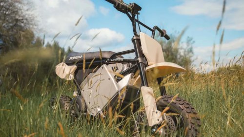 Is Harley's New Low-Cost Beginner Bike What It's Been Missing? Probably