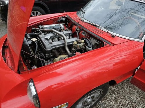 1975 Alfa Romeo Spider For Sale