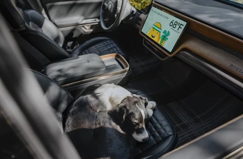 Rivian Lets You Check In on Your Dog from Your Phone