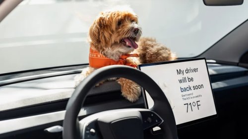 It Was a Trap? Electronic Car Door Handles May Finally Get Safer