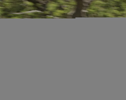 Mitsubishi, Mitsubishi Pajero, Toyota, Toyota RAV4, Mitsubishi’s Highly Anticipated Pajero Comeback Is Even Taking Aim at the Toyota RAV4