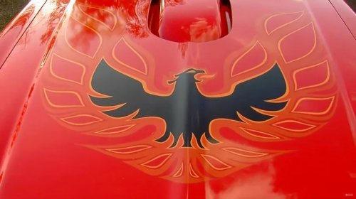 These Rare Pontiac Trans-Ams Had Vinyl Roofs