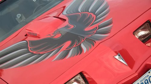 What Kind Of Bird Is Pontiac's Famous Firebird Logo Supposed To Be?