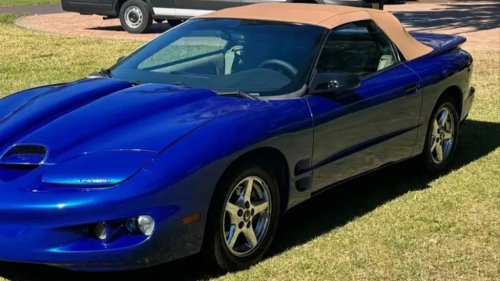 Auto Enthusiasts Debate the Best Color To Go With Your Car's Tan Top
