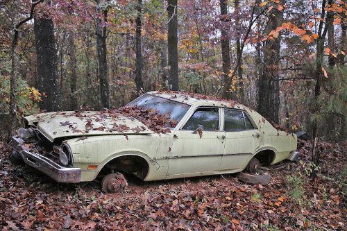 Some Interesting Junkyard Finds at Collins Auto Salvage in Auburn, Georgia