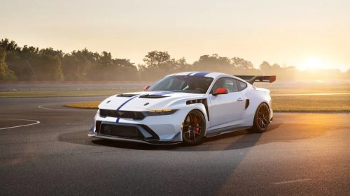 Europe Gets Another Shot at America’s Wildest Mustang