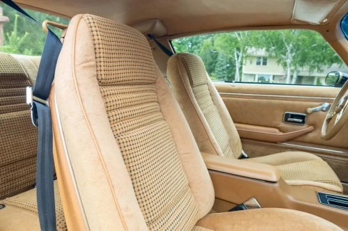 Pontiac, 1979 Pontiac Firebird Trans Am Special Edition for Sale With 54,000 Miles