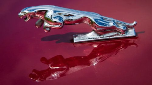 These Are Your Favorite Hood Ornaments