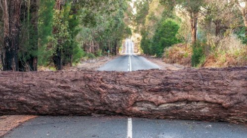 Here's What It Means If You See A Pink Road Sign