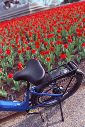 I rode this powerful ebike for hours and my butt wasn’t mad at it