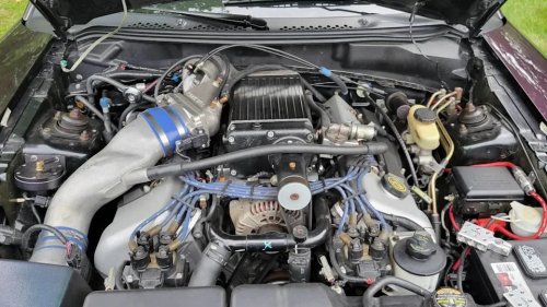Ford, Ford Mustang, 1996 Ford Mustang SVT Cobra Mystic for Sale With 12k Miles Shown
