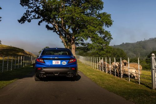 Take a Closer Look at the 2026 Subaru WRX (Photo Gallery)