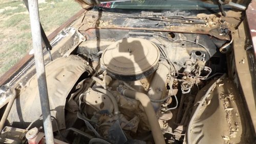 Chevrolet, Chevrolet Camaro, Think, This Filthy Barn Find Chevrolet Camaro Was in Much Better Condition Than You Might Think