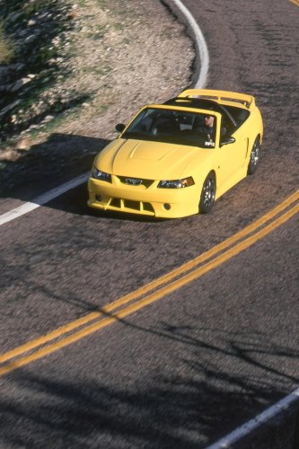 View Photos of the 2001 Roush Stage 3 Mustang