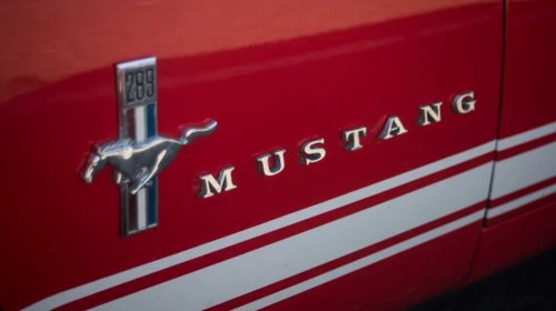 Ford, Ford Mustang, What Is The Ford Mustang Named After? The History Behind The Name