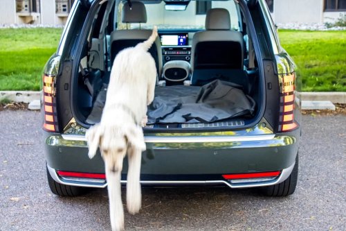 2026 Hyundai Palisade Dog Review: A Backyard Inside An SUV