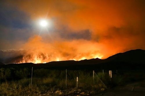 The Timber Fire Redrew Monterey Car Week's Map, But It Only Canceled One Event