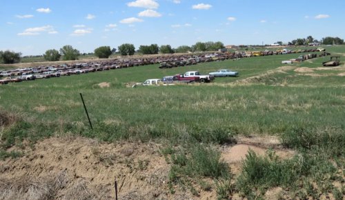 Nearly 300 Cars Are Heading to a Colorado Field Sale, and the 50-Cent Opening Bid Is the Least Interesting Number