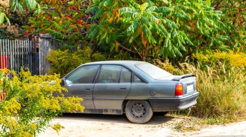 If Your Car Could Speak, What Would It Say About You?