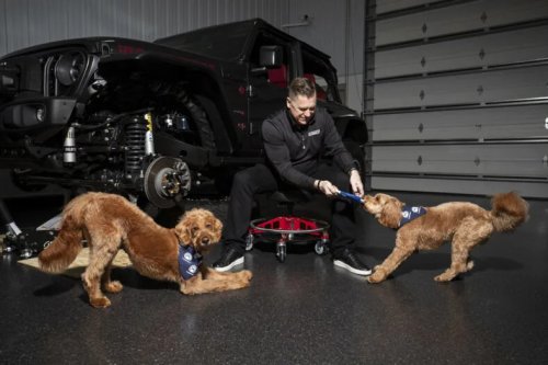 Mopaw’s Pet Travel Accessories Will Keep Your  Dog and Your Jeep—Or Any Car, Really—Cleaner and Happier