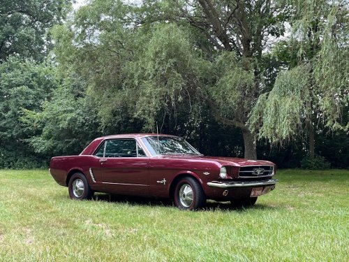 Ford, Ford Mustang, 1965 Ford T5 (German Mustang) for Sale With 41k Miles Shown